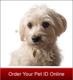 Pet ID Tags from Browels